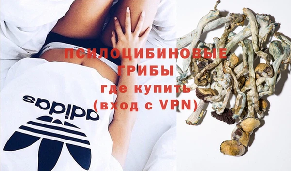 ешки Алзамай
