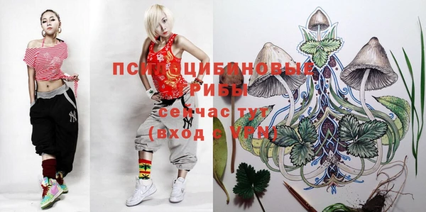 гидропоника Алексин