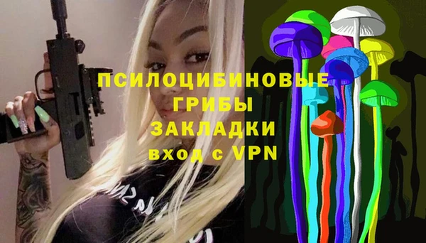 ешки Алзамай