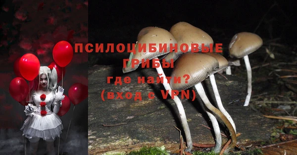 соль курить ск Абаза