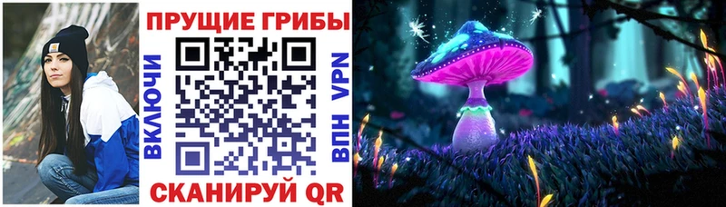 наркошоп  Новочебоксарск  Галлюциногенные грибы GOLDEN TEACHER 